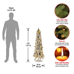Outlet National Tree Company 4 ft. Pre-Lit Snowy Downswept Forest Tree with Clear Lights