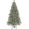 Online National Tree Company 7.5 ft. Pre-Lit Snowy Harwich Tree with PowerConnect Dual Colored LED Lights