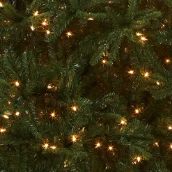 National Tree Company 9 ft. Pre-Lit Tiffany Fir Slim Tree with Clear Lights - PE Branch Tips