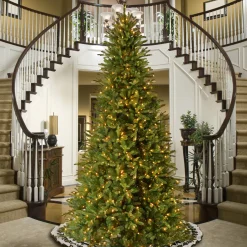 Clearance National Tree Company 12 ft. Pre-Lit Tiffany Fir Slim Tree with Clear Lights