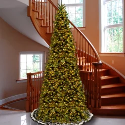 Clearance National Tree Company 10 ft. Pre-Lit Tiffany Fir Slim Tree with Clear Lights