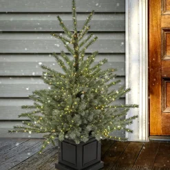 Best National Tree Company 4 ft.Pre-Lit Aberdeen Blue Spruce Tree