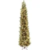 Outlet National Tree Company 10 ft.Pre-Lit Carolina Pine Slim Tree with Clear Lights