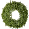 New National Tree Company 24 in. Arborvitae Wreath