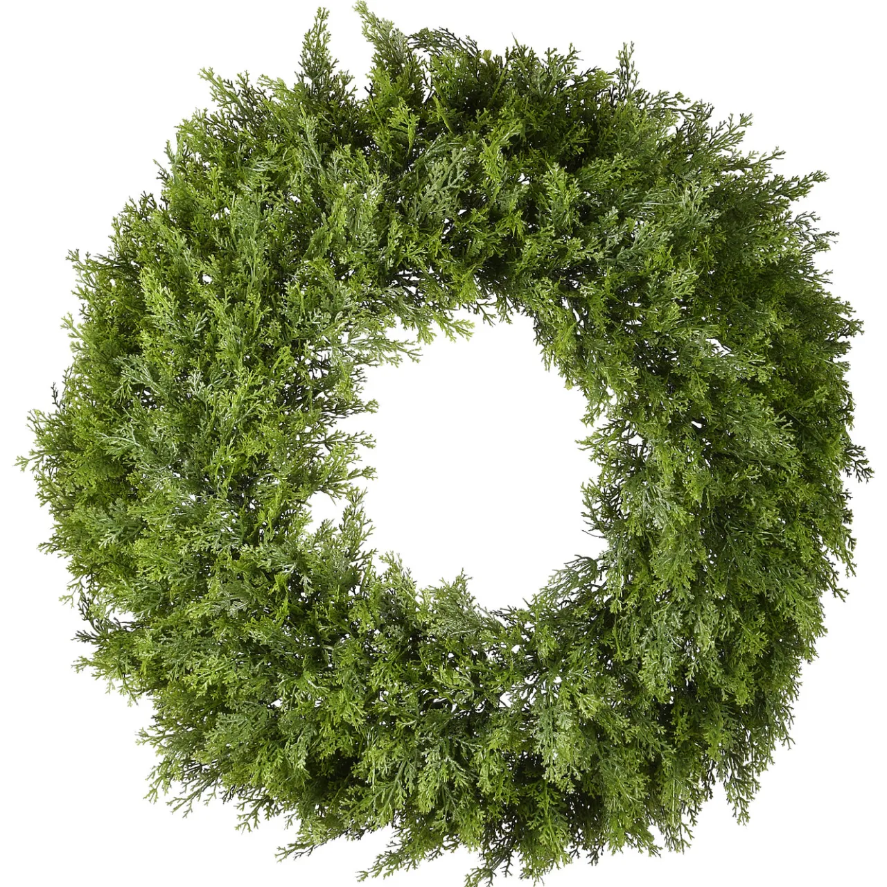 New National Tree Company 24 in. Arborvitae Wreath