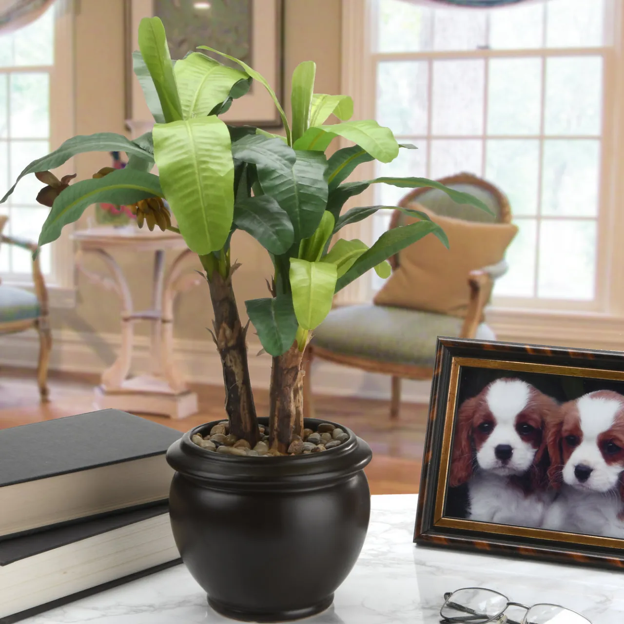 Hot National Tree Company 18 in. Banana Plant