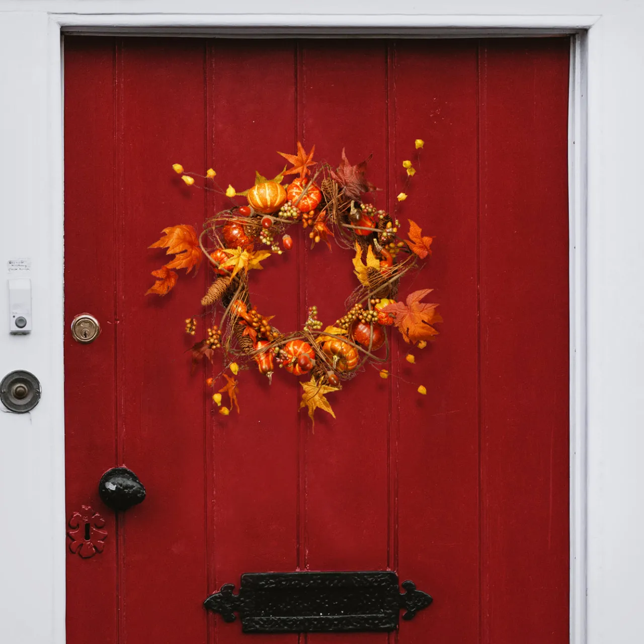 Discount National Tree Company 21 in. Fall Wreath with Pumpkins, Gourds, Pinecones, Berry Clusters, Maple Leaves