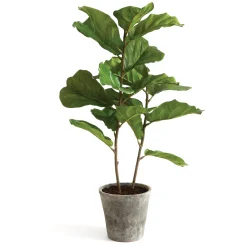 Clearance National Tree Company 43 in. Fiddle Leaf Fig Topiary Tree