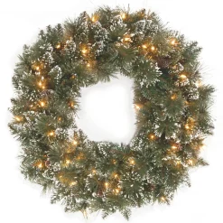 National Tree Company 24 in. Glittery Bristle Pine Wreath with Clear Lights
