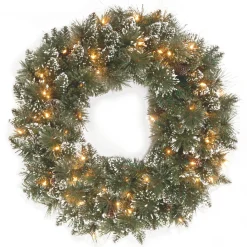 National Tree Company 24 in. Glittery Bristle Pine Wreath with Clear Lights