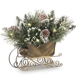 Discount National Tree Company 10 in. Glittery Bristle Pine Sleigh with LED Lights