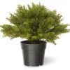 Clearance National Tree Company 15 in. Globe Cedar Tree