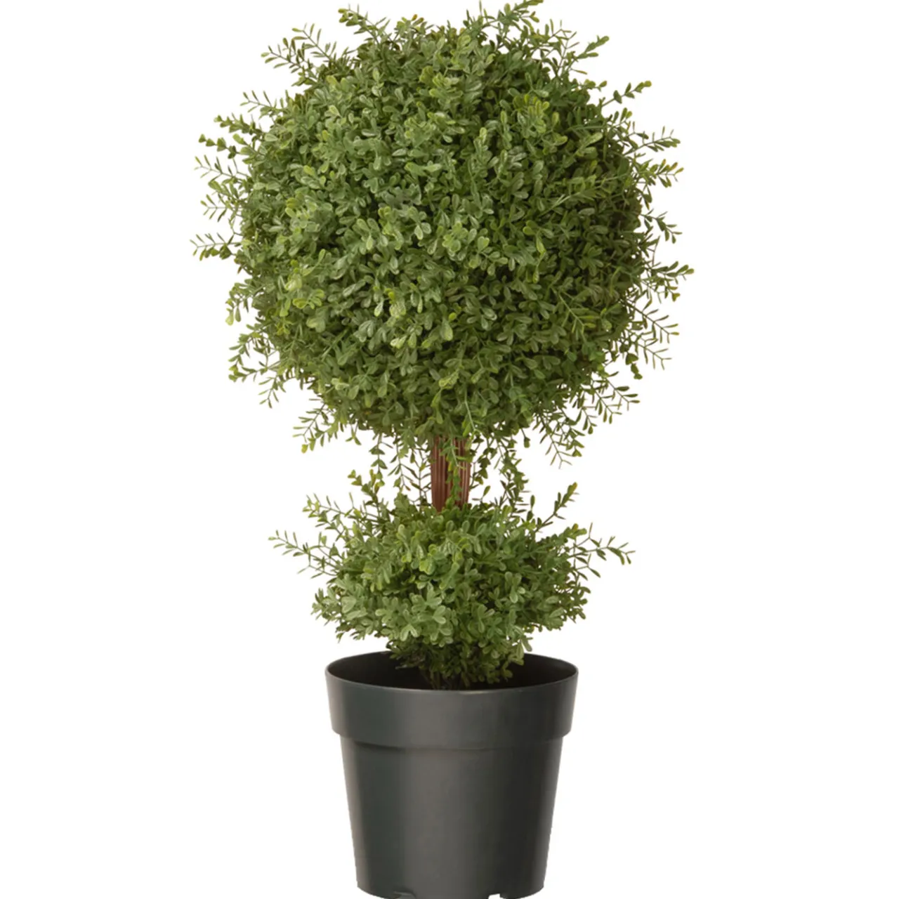 Sale National Tree Company 30 in. Mini Tea Leaf 1 Ball in Green Round Growers Pot