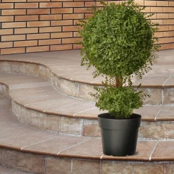 Sale National Tree Company 30 in. Mini Tea Leaf 1 Ball in Green Round Growers Pot