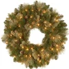 Hot National Tree Company 24 in. Pre-Lit Carolina Pine Wreath with LED Lights