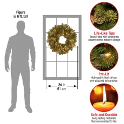 Hot National Tree Company 24 in. Pre-Lit Carolina Pine Wreath with LED Lights