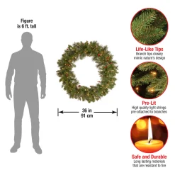 New National Tree Company 36 in. Pre-Lit Crestwood Spruce Wreath with Clear Lights