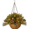 Hot National Tree Company 20 in. Pre-Lit Crestwood Spruce Hanging Basket with LED Lights