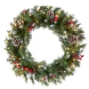 Online National Tree Company 24 in. Pre-Lit Frosted Berry Wreath with Clear Lights, Plug-In