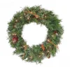 Discount National Tree Company 24 in. Pre-Lit Glistening Pine Wreath with LED Lights