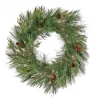 National Tree Company 28 in. Pre-Lit HGTV Home Collection Black Tie Cedar Wreath
