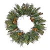 New National Tree Company 24 in. Pre-Lit North Conway Wreath with Warm White LED Lights