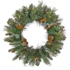 National Tree Company 30 in. Pre-Lit North Conway Wreath with Warm White LED Lights