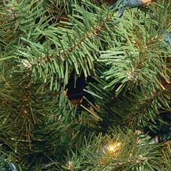 Best National Tree Company 24 in. Pre-Lit North Valley Spruce Wreath with Dual Color LED Lights