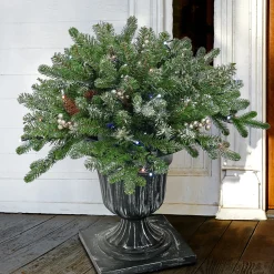 Sale National Tree Company 24 in. Pre-Lit Snowy Morgan Spruce Porch Bush with Twinkly LED Lights