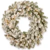 Outlet National Tree Company 24 in. Pre-Lit Snowy Sheffield Spruce Wreath with Twinkly LED Lights