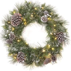 Discount National Tree Company 24 in. Pre-Lit Whitter Pine Wreath with LED Lights