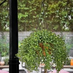 Best National Tree Company 18 in. Spring Argentea Hanging Plant with Yellow Flowers