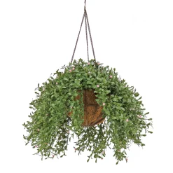 National Tree Company 18 in. Spring Argentea Hanging Plant with Pink Flowers