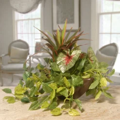 Sale National Tree Company 9 in Spring Hanging Basket with Green Leaf Plants, Vines in a Brown Pot