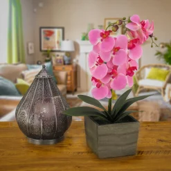 Hot National Tree Company 21 in. Spring Pink Orchid Flower in Wood Box
