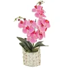 New National Tree Company 21 in. Spring Pink Orchid in White Basket