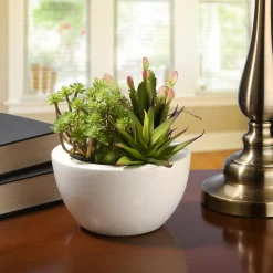 Sale National Tree Company 8 in. Spring Potted Plant with Various Green Succulents in a Stylish White Ceramic Base