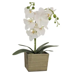 Clearance National Tree Company 21 in. Spring White Orchid Flower in Wood Box