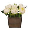 Sale National Tree Company 10 in. Spring White Peony Flowers in Wood Box