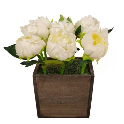 Sale National Tree Company 10 in. Spring White Peony Flowers in Wood Box