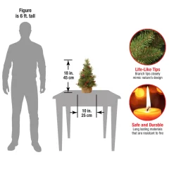 Clearance National Tree Company 18 in.Everyday Collection Tree