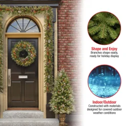 Discount National Tree Company Pre-Lit Frosted Berry Assortment with 2 Entrance Trees, 1 Wreath, 2 Garland