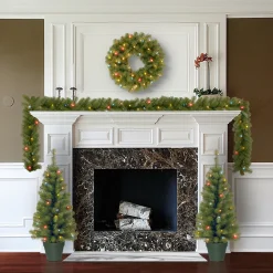Best National Tree Company Pre-Lit Promotional Green Assortment Set of 2 Entrance Trees, 1 Wreath, 1 Garland