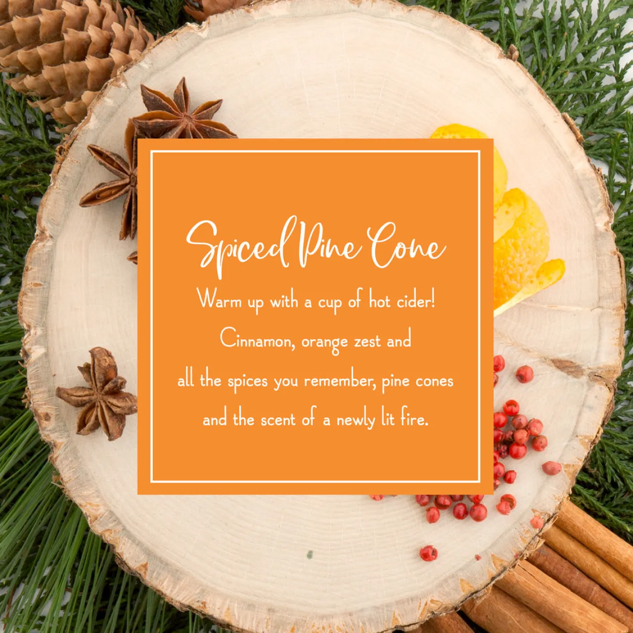 Best National Tree Company Scented Ornaments, 2-Pack- 6ct Bottle, Spiced Pine Cones, Fragrance-Infused Paper Sticks