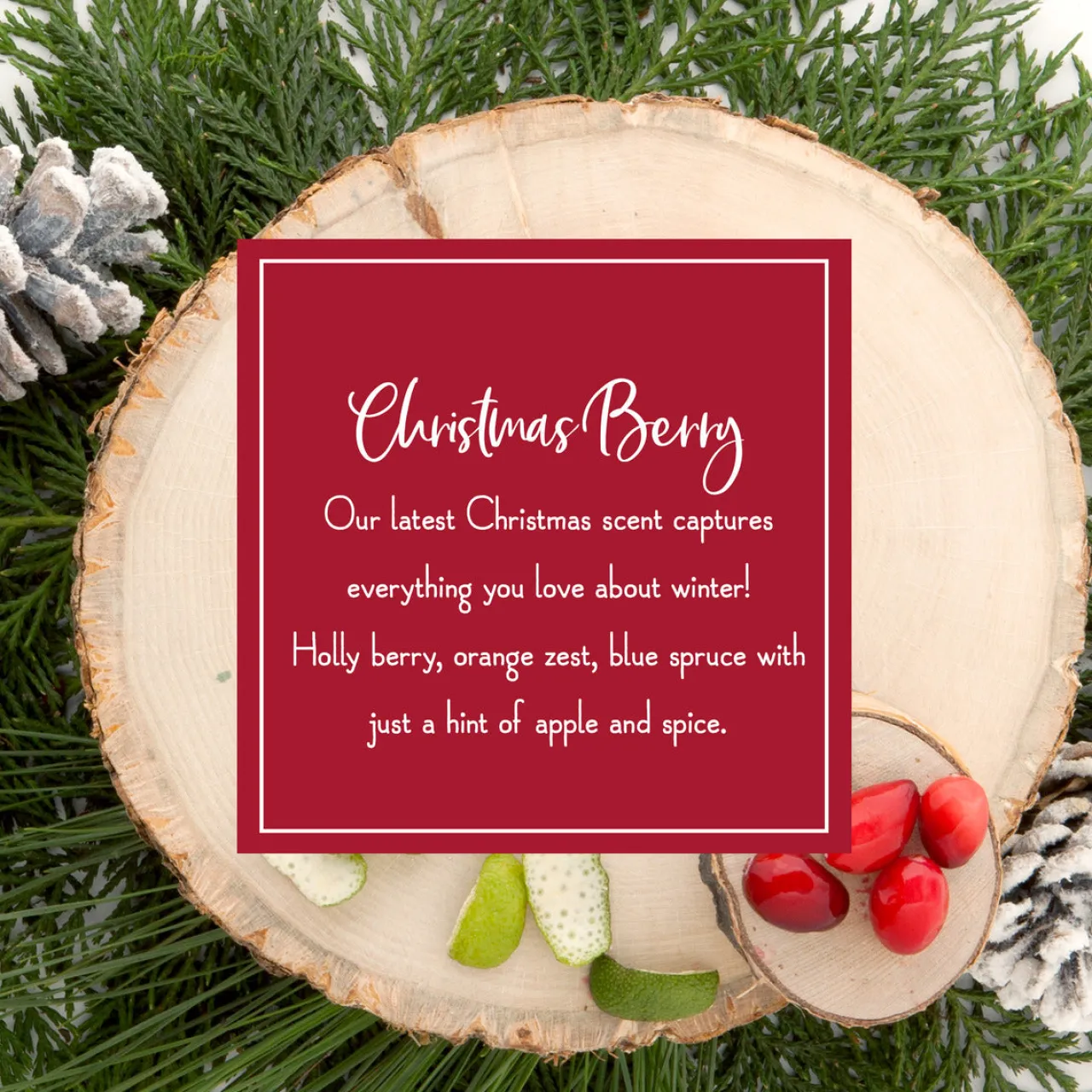 Discount National Tree Company Scented Ornaments, 2-Pack- 6ct Bottle, Christmas Berry, Fragrance-Infused Paper Sticks