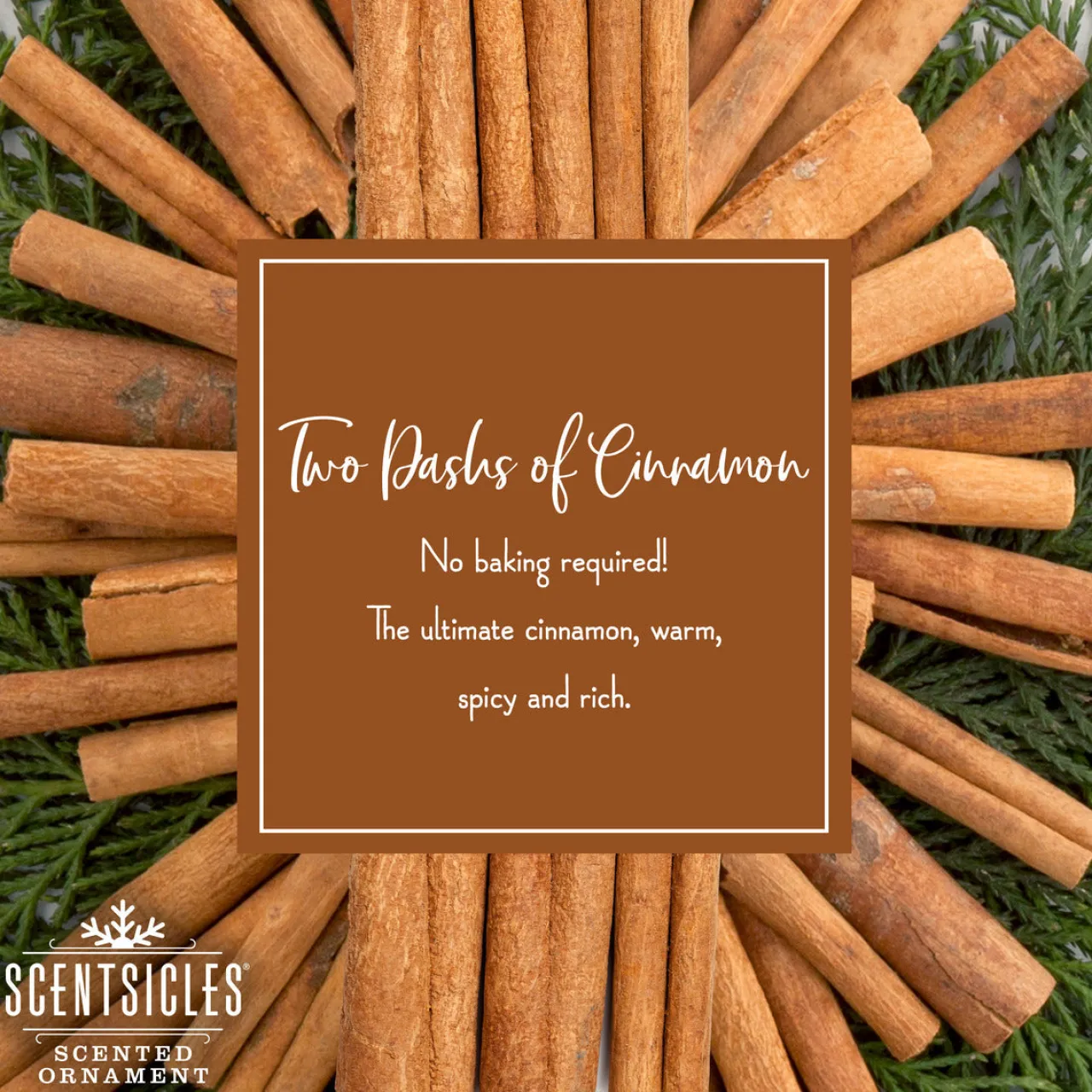 Online National Tree Company Scented Ornaments, 2-Pack- 6ct Bottle, 2 Dashes of Cinnamon, Fragrance-Infused Paper Sticks