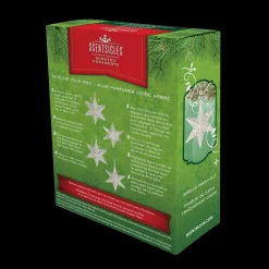 Hot National Tree Company Scentsicles Decorative Ornament, Metal White Star, White Winter Fir with Refill