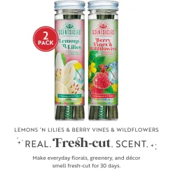 New National Tree Company Scentsicles, 6pc Stick, 1 Lemon 'n Lilies/ 1 Berryvines & Wildflowers- 2 pack