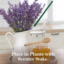 Sale National Tree Company Scentsicles, 6pc Stick, 1 Sun-Soaked Lavender/1 Into the Vanilla Woods- 2 pack