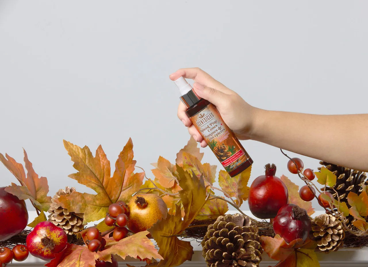 Online National Tree Company Scentsicles 6pc Stick and Spray Spiced Pine Cones - 2 Pack